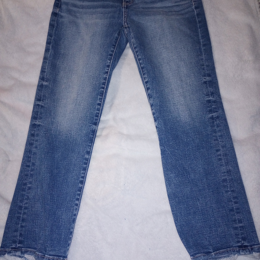 BKE Women's Straight Leg Jeans in Blue